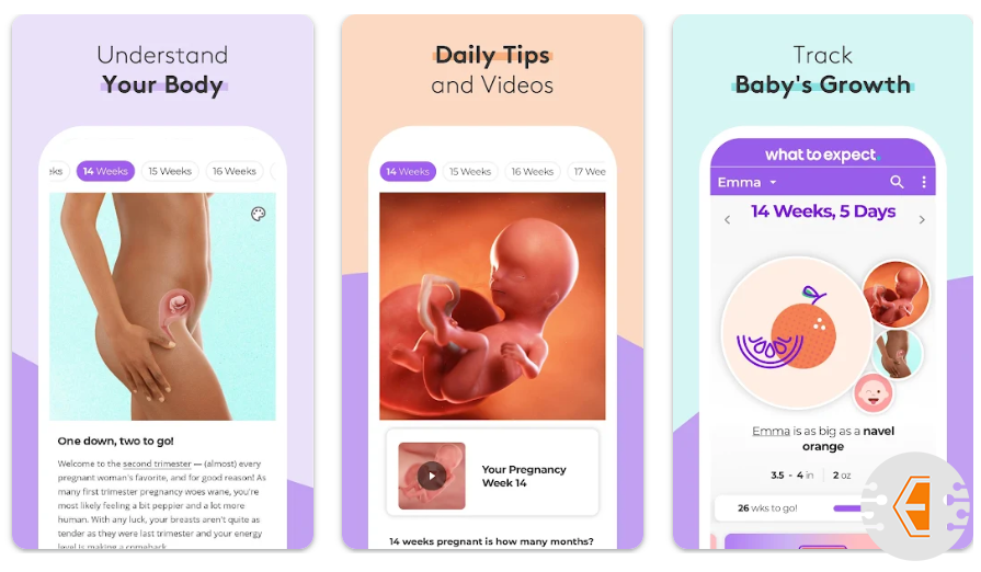برنامج متابعة الحمل Pregnancy & Baby Tracker WTE