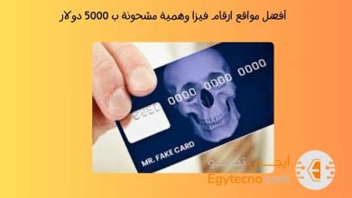 أفضل مواقع ارقام فيزا وهمية مشحونة ب 5000 دولار 2024