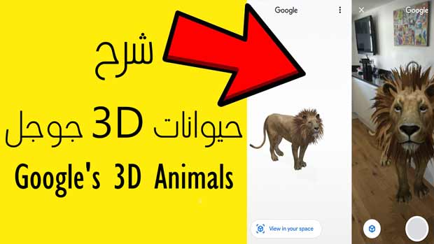 حيوانات 3D جوجل